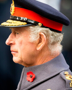 Король Карл III появился на первом Дне памяти после смерти королевы Елизаветы II