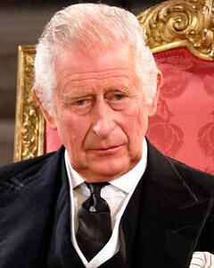 «С глаз долой!»: почему король Карл III хочет вычеркнуть принцев Гарри и Эндрю из числа своих официальных заместителей?