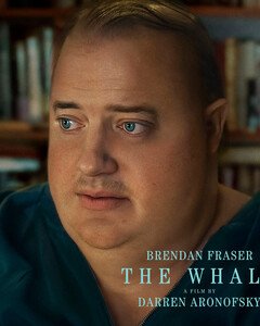 Появился первый эмоциональный трейлер фильма «Кит» с Бренданом Фрейзером и Сэди Синком