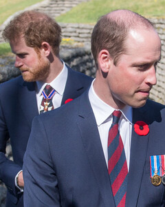 Первый «разговор примирения» принцев Гарри и Уильяма закончился провалом