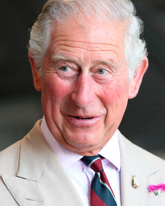 Почему принц Чарльз может лишить принцессу Анну и принца Эдварда королевских привилегий, когда станет королём?