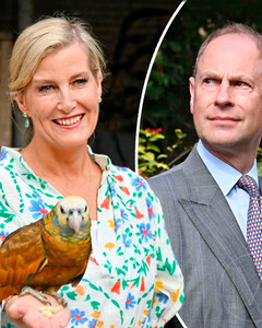 Почему визит принца Эдварда и Софи в Гренаду внезапно отменен?