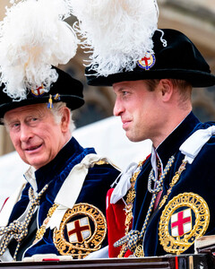 Принц Чарльз не уступит трон своему сыну — принцу Уильяму