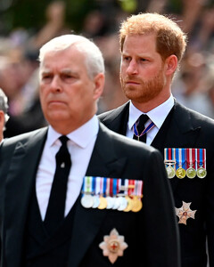 Принц Гарри опроверг слухи о драке с принцем Эндрю из-за оскорблений Меган Маркл