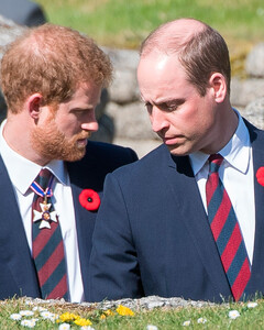 Принца Гарри и Уильяма призвали помириться и положить конец «ожесточенной битве»