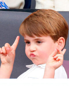 Какой трогательный подарок принц Гарри купил своему племяннику принцу Луи на крестины?