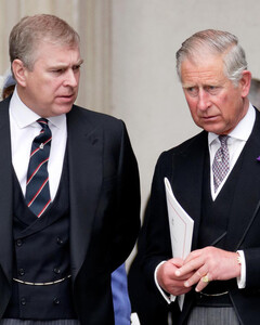 Принц Чарльз избегает вопросов об Эндрю, хотя сам призвал королеву лишить его титулов