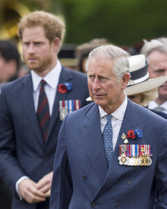 Принц Чарльз планировал тайный ужин с принцем Гарри, когда тот прилетал на открытие статуи принцессы Дианы