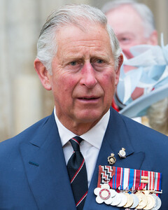 Горячие звонки молодого принца Чарльза преданы огласке