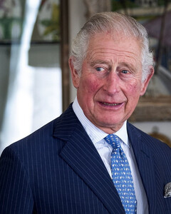 «Похороните свои разногласия, чтобы спасти планету»: принц Чарльз призывает мировых лидеров объединиться