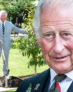 Принц Чарльз запускает свой эко-телеканал