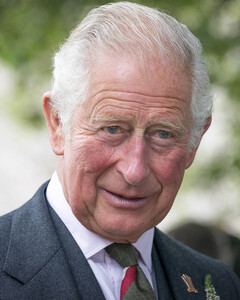 Ещё один из руководителей фондов Чарльза уходит в отставку после обвинений в продаже лояльности принца