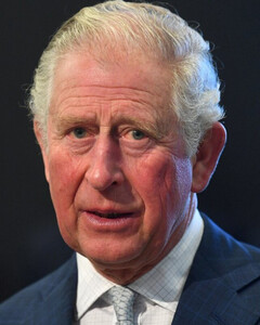 Принц Чарльз выступил против футбольного расизма