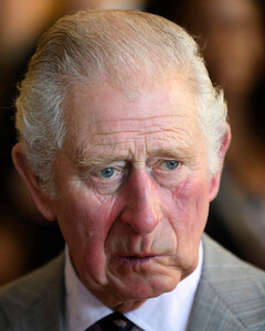 Гнев человеческий: как «мегзит» разозлил принца Чарльза