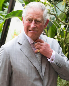 Принц Чарльз отказался посетить открытие статуи принцессе Дианы