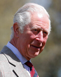 Принц Чарльз обратился к мусульманской общине