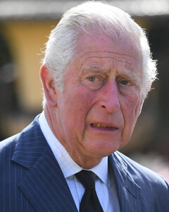 Принца Чарльза допрашивали по обвинению в убийстве