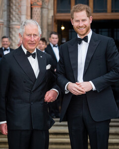 Принц Чарльз готов помириться с принцем Гарри