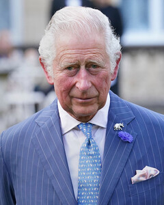 Принц Чарльз опубликовал обращение, связанное с лесными пожарами по всему миру