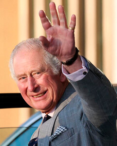 «Колбасные пальцы» принца Чарльза вызвали беспокойство у королевских поклонников