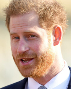 В каком проекте принц Гарри дебютирует в новом году?