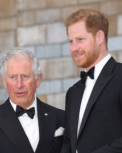 Принц Гарри провёл секретные переговоры с Чарльзом, чтобы уладить разногласия в преддверии платинового юбилея королевы