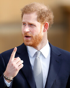 Принц Гарри раскритиковал Конституцию США