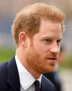 Прилететь в Европу и не заехать в Великобританию: принца Гарри обвинили в оскорблении королевы