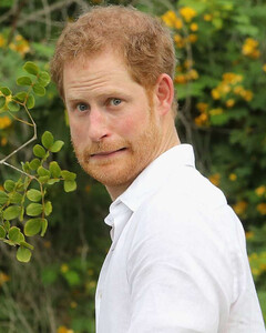 Принц Гарри: «Арчи носится как сумасшедший, а Лили очень спокойная»