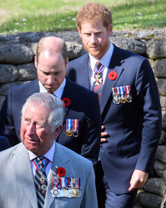 Члены королевской семьи опасаются, что в своей книге принц Гарри напишет немало компрометирующих фактов