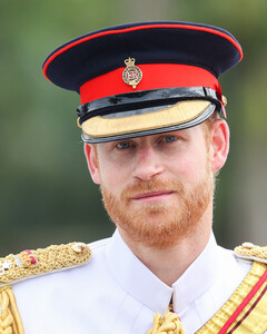 Принц Гарри не отказался от королевских привилегий