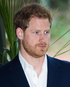 В сети появилась петиция, призывающая принца Гарри отказаться от королевских титулов