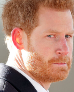 Принц Гарри назвал психическое здоровье и изменение климата двумя главными проблемами мира