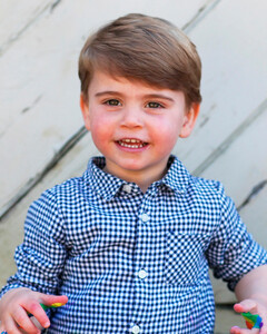 Королевский танцор диско: принц Луи развеселил публику энергичным танцем на фоне Виндзорского замка