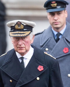 Принц Уильям обогнал отца по популярности. Но кто займёт трон?