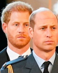 Братья зарыли топор войны? Принц Гарри и принц Уильям поужинали вместе