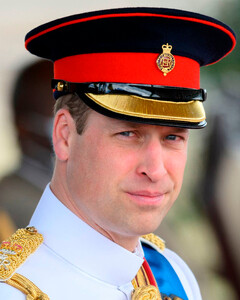 Репутация под угрозой: популярность принца Уильяма резко упала