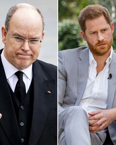 Князь Монако считает, что принц Гарри должен был молчать