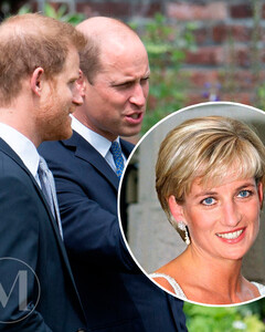 Почему мнения принцев Гарри и Уильяма насчёт рокового интервью принцессы Дианы расходятся?