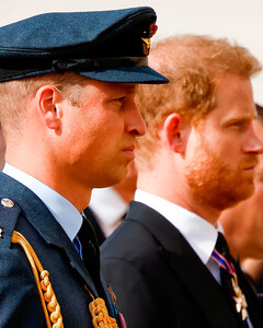 Мемуары всё решат: перемирие принцев Гарри и Уильяма продлится до премьеры скандальной автобиографии Сассекского