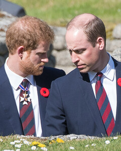 7 фактов из документального фильма «Принцы и пресса», которые разозлили королевскую семью