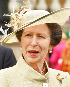 Вместо принца Гарри: принцесса Анна стала первой женщиной, которая возглавила Королевскую морскую пехоту