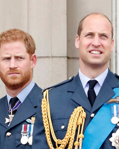 «Герцог плагиата»: принца Гарри высмеяли за то, что он скопировал свою речь в ООН у своего брата