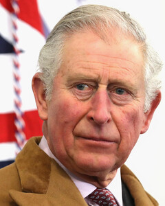 Принц Чарльз предупреждает о влиянии климатического кризиса