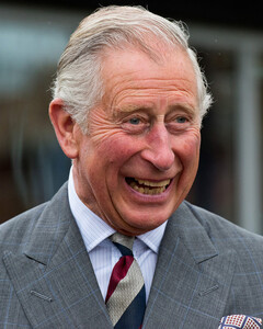 Принц Чарльз назвал рождение внучки Лили «радостной новостью»