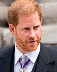 «Из-за него меня могут убить!» принц Гарри подал в суд на секретаря Елизаветы II, из-за создания угрозы жизни