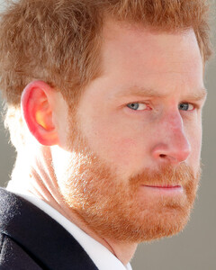 Воинские звания принца Гарри поделят его родственники