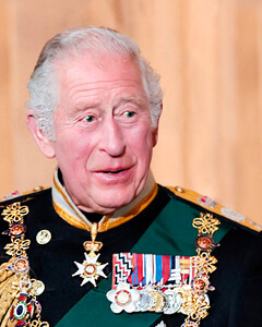 Я ведь могу и казнить, если захочу! Принца Чарльза высмеяли из-за его речи на открытии парламента от имени королевы