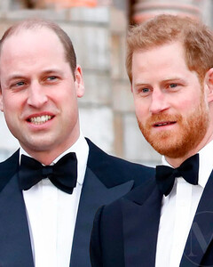 Всё ради тебя, бабушка! Принцы Гарри и Уильям впервые за два года созвонились по FaceTime