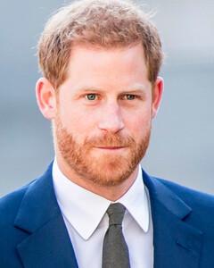 Почему публикацию мемуаров принца Гарри могут отложить на следующий год?